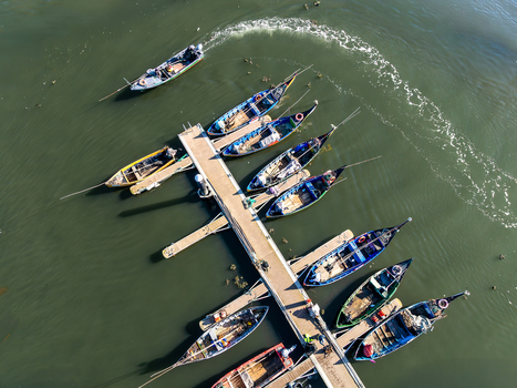 Aerial view of boats moored to a pier their colorful hulls reflecting in the still water creating a vibrant contrast against the dark green of the lagoon Torreira Aveiro Portugal. Aerial view of boats moored to a pier their colorful hulls reflecting in the still water creating a vibrant contrast against the dark green of the lagoon Torreira Aveiro Portugal.
