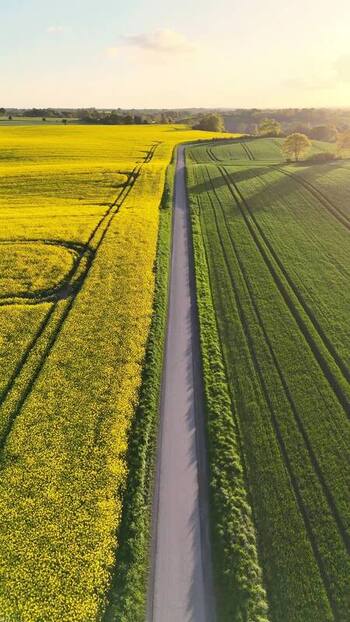 Aerial view of a road between yellow and green fields Germany.