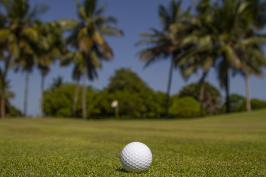 View of a white golf ball on a lush green fairway with tropical palm trees and a flag under a clear blue sky Tiwi Wilaya ya Kwale Kenya. View of a white golf ball on a lush green fairway with tropical palm trees and a flag under a clear blue sky Tiwi Wilaya ya Kwale Kenya.