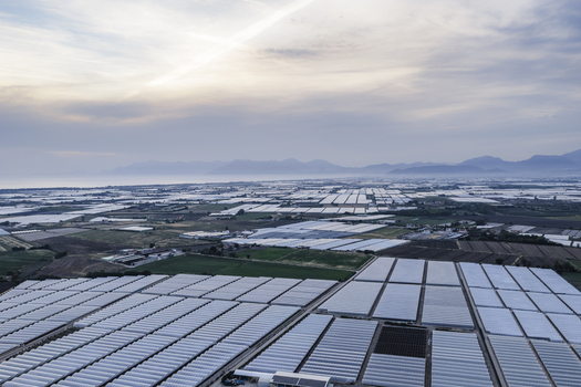 Aerial view of vast agricultural greenhouses covering the landscape near the coast under a hazy sky Paestum Campania Italy.