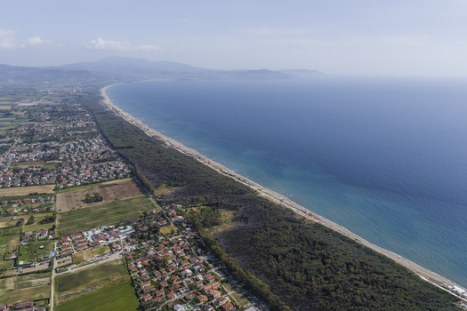 Aerial view of the Tyrrhenian coastline with its sandy beach pine forest and residential buildings in Paestum Campania Italy.