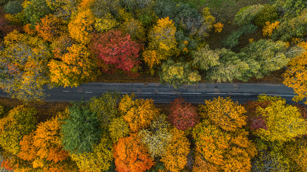 Aerial view of a road cutting through a dense forest with vibrant autumn foliage in shades of orange yellow and red in Sigulda Sigulda Municipality Latvia. Aerial view of a road cutting through a dense forest with vibrant autumn foliage in shades of orange yellow and red in Sigulda Sigulda Municipality Latvia.