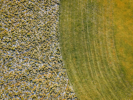 Aerial view of a golf course showing the contrast between frosted grass and green turf with visible tire tracks in Valmiera Valmiera Latvia.