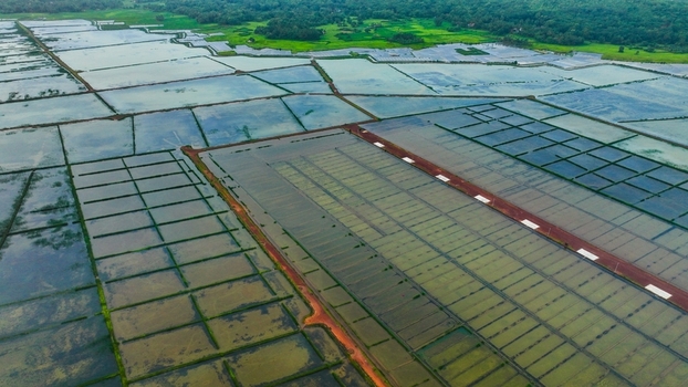 Aerial view of flooded agricultural fields with geometric patterns and lush greenery in Gokarna Karnataka India. Aerial view of flooded agricultural fields with geometric patterns and lush greenery in Gokarna Karnataka India.