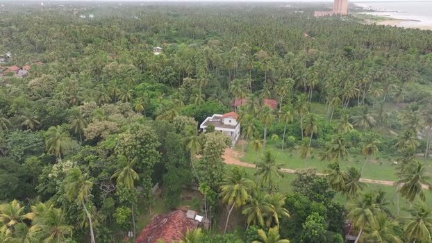 Aerial view of a house in a palm forest Sri Lanka.