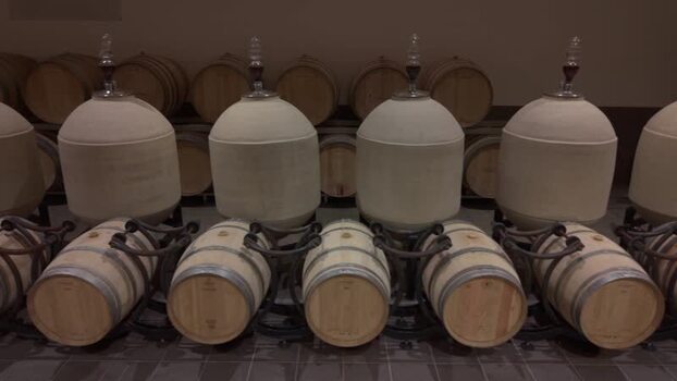 View of wine cellar with concrete amphorae and barrels France.