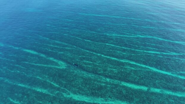 Aerial view of a manta ray swimming in the ocean Maldives. Aerial view of a manta ray swimming in the ocean Maldives.