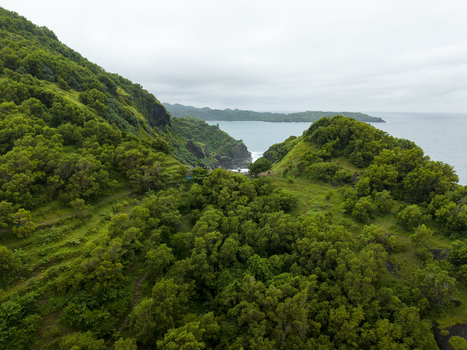 Aerial view of lush green foliage cascading down the hillsides towards the tranquil turquoise waters of the ocean at Pengilon Hill Gunungkidul Daerah Istimewa Yogyakarta Indonesia. Aerial view of lush green foliage cascading down the hillsides towards the tranquil turquoise waters of the ocean at Pengilon Hill Gunungkidul Daerah Istimewa Yogyakarta Indonesia.