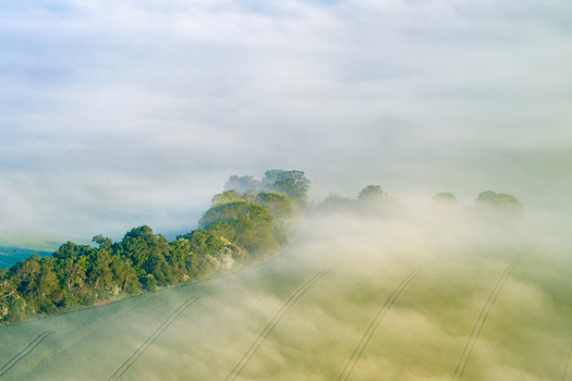 Aerial view of green agricultural fields with tractor tracks and a line of trees partially obscured by thick morning mist in Nuffield Oxfordshire United Kingdom. Aerial view of green agricultural fields with tractor tracks and a line of trees partially obscured by thick morning mist in Nuffield Oxfordshire United Kingdom.