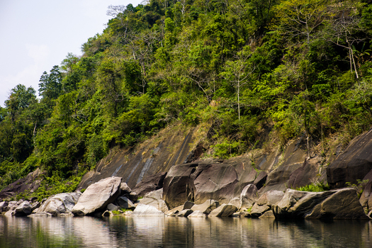 Meghalaya India 31 March 2023 View of the rocky riverbank and dense forest along the river in Meghalaya India. Meghalaya India 31 March 2023 View of the rocky riverbank and dense forest along the river in Meghalaya India.