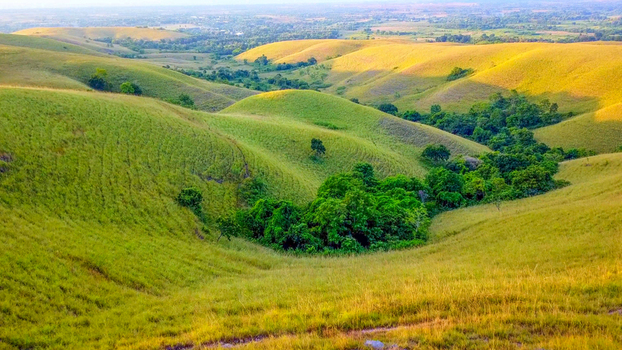 Aerial view of Wairinding hills featuring rolling grassy slopes lush green vegetation in the valleys and golden sunlight in Waingapu City East Nusa Tenggara Indonesia.