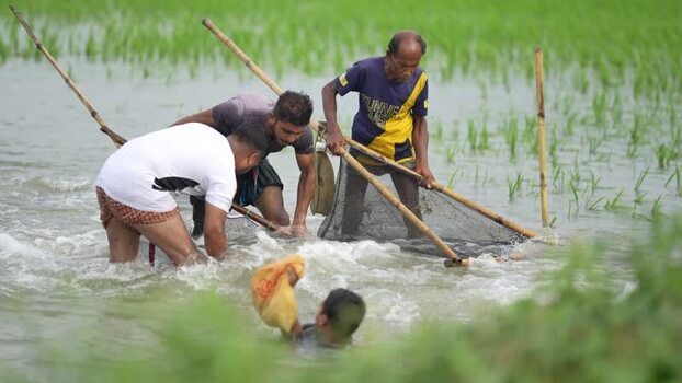 View of fishermen using traditional nets in a flooded field Bangladesh.