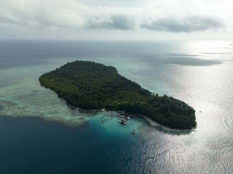 Aerial view of the lush green island surrounded by the turquoise sea Shark Breeding Menjangan Kecil Karimunjawa Central Java Indonesia.