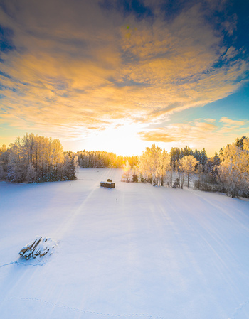 Aerial view of a snow covered field with frost covered trees a small wooden cabin and a pile of logs under a vibrant golden sunset in Latvia. Aerial view of a snow covered field with frost covered trees a small wooden cabin and a pile of logs under a vibrant golden sunset in Latvia.