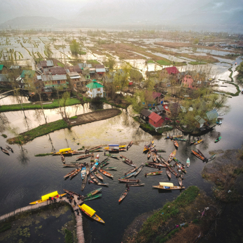 Aerial view of traditional shikara boats on the calm waters of Dal Lake surrounded by floating gardens and houseboats in Srinagar Kashmir India. Aerial view of traditional shikara boats on the calm waters of Dal Lake surrounded by floating gardens and houseboats in Srinagar Kashmir India.