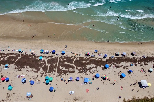 Aerial view of Singer Island beach featuring turquoise ocean waves colorful sun umbrellas and sargassum seaweed on the sand in Riviera Beach Florida United States. Aerial view of Singer Island beach featuring turquoise ocean waves colorful sun umbrellas and sargassum seaweed on the sand in Riviera Beach Florida United States.