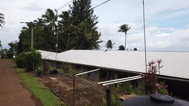 View of a tropical dirt road with palm trees Pitcairn Islands.