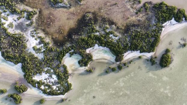 Aerial view of Yucalpeten mangroves and coastline Mexico. Aerial view of Yucalpeten mangroves and coastline Mexico.