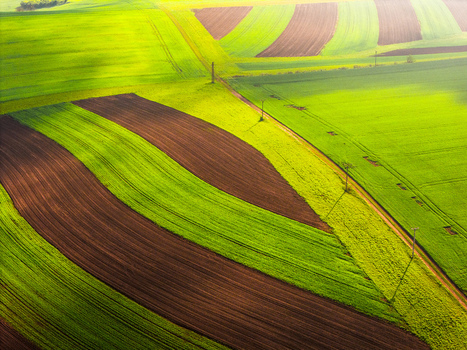 Aerial view of rolling agricultural fields with vibrant green crops and brown tilled soil patterns Klobouky u Brna Jihomoravsky kraj Czechia. Aerial view of rolling agricultural fields with vibrant green crops and brown tilled soil patterns Klobouky u Brna Jihomoravsky kraj Czechia.