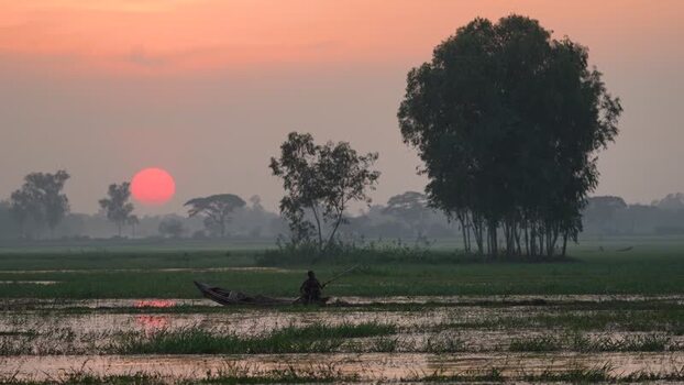 View of a fisherman in a boat at sunset in Bogura Bangladesh. View of a fisherman in a boat at sunset in Bogura Bangladesh.
