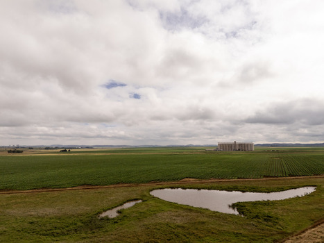 Aerial view of vast green agricultural fields a small pond and a large grain silo under a cloudy sky in Thabo Mofutsanyana District Municipality Free State South Africa. Aerial view of vast green agricultural fields a small pond and a large grain silo under a cloudy sky in Thabo Mofutsanyana District Municipality Free State South Africa.