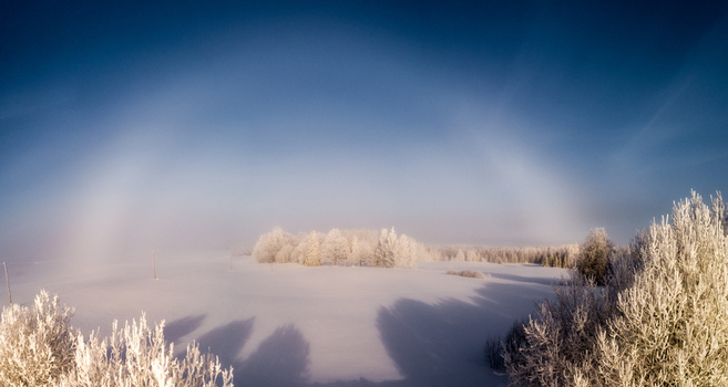 Aerial view of a snow covered landscape with frost covered trees and a rare sun halo phenomenon in the sky in Latvia. Aerial view of a snow covered landscape with frost covered trees and a rare sun halo phenomenon in the sky in Latvia.