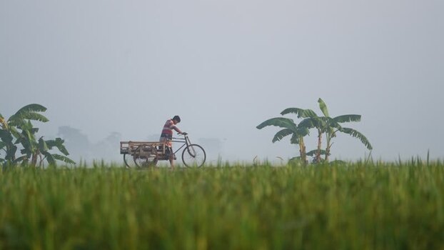 View of a man pushing a cart through a misty field Bangladesh.