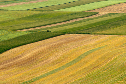 Aerial view of agricultural fields with varied crops showing green and golden textures rolling terrain and distinct soil patterns in Surduk Vojvodina Serbia.