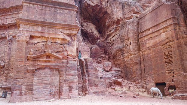 View of the ancient rock cut architecture and sandstone cliffs in the historic site of Petra with a donkey standing near the entrance in Wadi Musa Ma an Governorate Jordan. View of the ancient rock cut architecture and sandstone cliffs in the historic site of Petra with a donkey standing near the entrance in Wadi Musa Ma an Governorate Jordan.