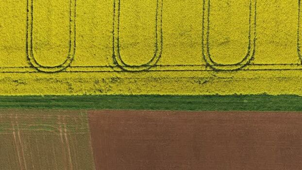 Aerial view of yellow rapeseed fields and ploughed land Germany.