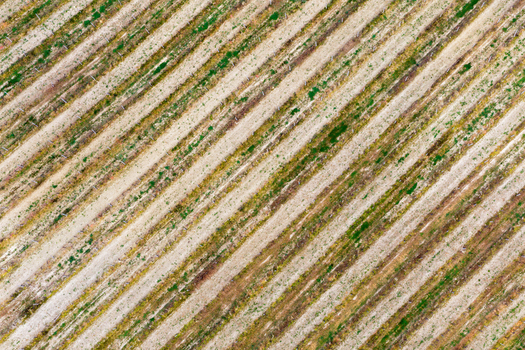 Aerial view of the geometric patterns of a vineyard with diagonal rows of vines in the Valdarno valley Florence Tuscany Italy. Aerial view of the geometric patterns of a vineyard with diagonal rows of vines in the Valdarno valley Florence Tuscany Italy.