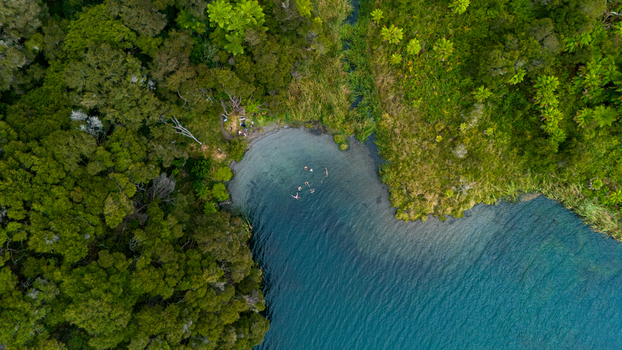 Aerial view of a serene lake embraced by dense green forest and grassy wetlands with swimmers enjoying the cool waters Rotorua New Zealand. Aerial view of a serene lake embraced by dense green forest and grassy wetlands with swimmers enjoying the cool waters Rotorua New Zealand.