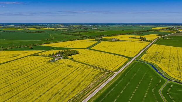 Aerial view of rapeseed fields and farmstead in Latvia. Aerial view of rapeseed fields and farmstead in Latvia.