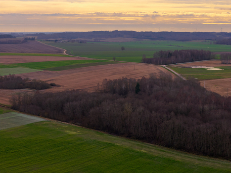 Aerial view of rolling agricultural fields dense forest patches and winding rural roads under a soft sunset sky in Lithuania. Aerial view of rolling agricultural fields dense forest patches and winding rural roads under a soft sunset sky in Lithuania.