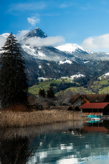 View of the serene lake reflecting the sky and snow capped mountains with charming houses nestled amidst the landscape Train from Lucerne to Interlaken Switzerland. View of the serene lake reflecting the sky and snow capped mountains with charming houses nestled amidst the landscape Train from Lucerne to Interlaken Switzerland.