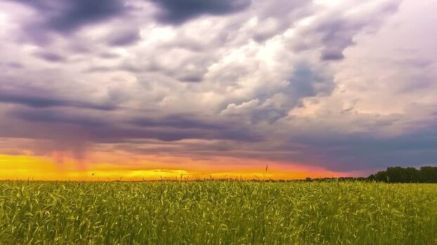 View of a green field under a dramatic sunset sky in Latvia.