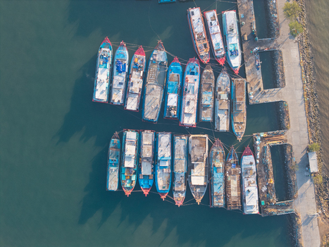 Aerial view of numerous colorful fishing boats moored in a calm harbor with clear water and a concrete pier in Probolinggo East Java Indonesia.