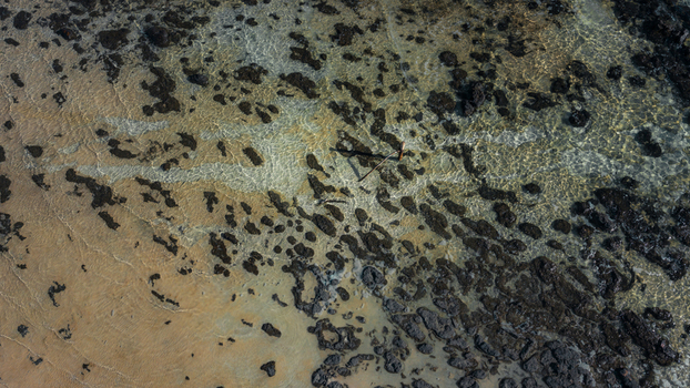 Aerial view of shallow clear blue water and dark rocky formations creating intricate patterns on the sandy seabed in Denham Western Australia Australia. Aerial view of shallow clear blue water and dark rocky formations creating intricate patterns on the sandy seabed in Denham Western Australia Australia.