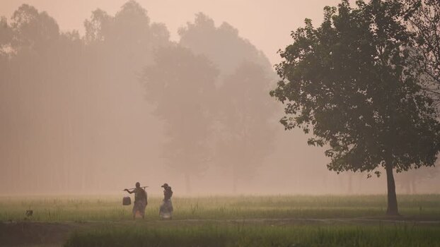 View of people walking in a misty field in Bogura Bangladesh. View of people walking in a misty field in Bogura Bangladesh.