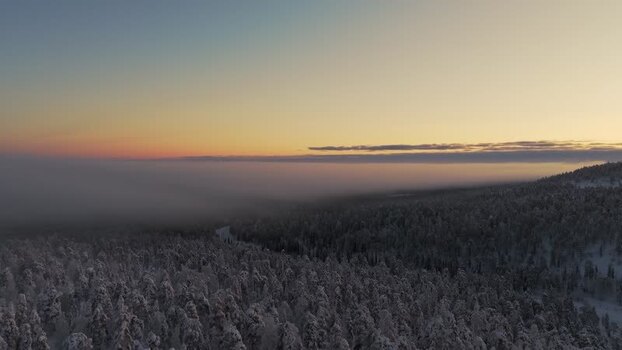Aerial view of Luosto snowy forest at sunset Finland.