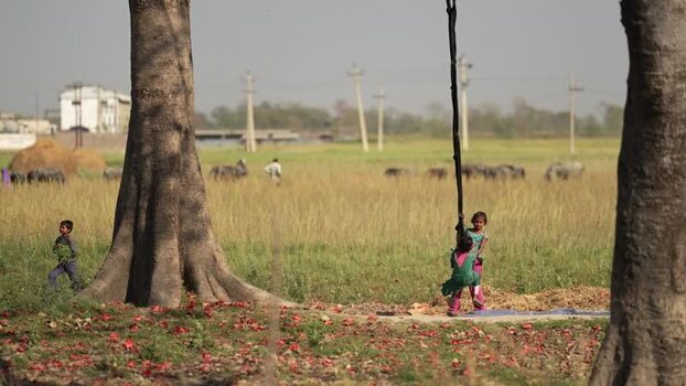 View of children playing on a rope swing under a tree Nepal.