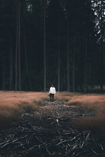 View of a person standing in a field of dry grass and twigs in front of a dense pine forest on Vormsi Laane County Estonia. View of a person standing in a field of dry grass and twigs in front of a dense pine forest on Vormsi Laane County Estonia.