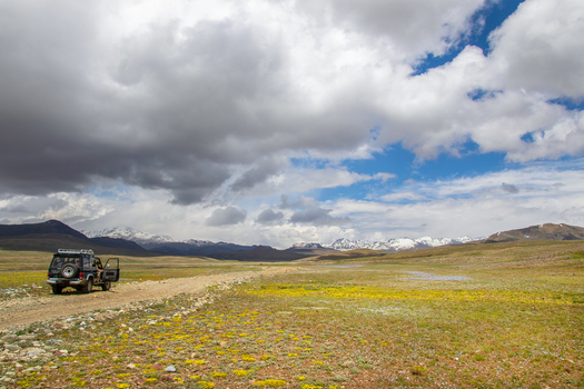 View of Deosai National Park with an off road vehicle parked on a dirt road amidst yellow wildflowers and distant snow capped mountains under a cloudy sky Skardu Gilgit Pakistan. View of Deosai National Park with an off road vehicle parked on a dirt road amidst yellow wildflowers and distant snow capped mountains under a cloudy sky Skardu Gilgit Pakistan.