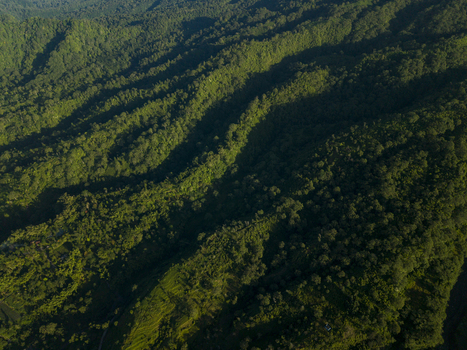 Aerial view of the lush tropical forest and rolling green hills on the slopes of Mount Merapi near Kecamatan Pakem Daerah Istimewa Yogya Indonesia. Aerial view of the lush tropical forest and rolling green hills on the slopes of Mount Merapi near Kecamatan Pakem Daerah Istimewa Yogya Indonesia.