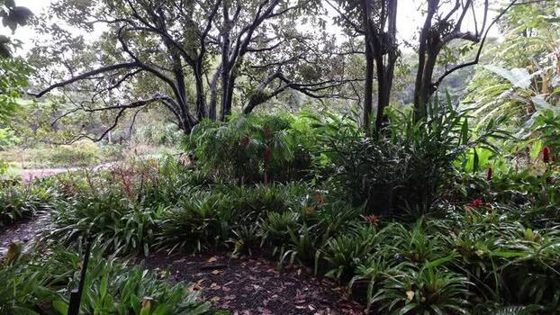 View of Royal Botanic Garden Sydney Australia.