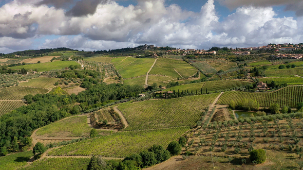 Aerial view of lush vineyards and olive groves on rolling hills leading to the historic town of Greve in Chianti under a cloudy sky Greve in Chianti Tuscany Italy. Aerial view of lush vineyards and olive groves on rolling hills leading to the historic town of Greve in Chianti under a cloudy sky Greve in Chianti Tuscany Italy.