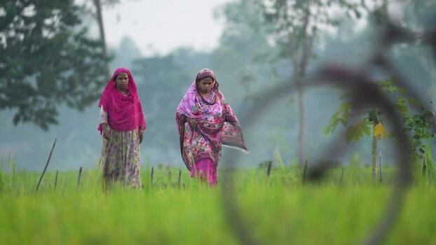 View of two women walking through a green field in Bogura Bangladesh.