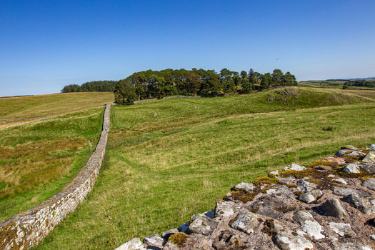 View of the ancient stone ruins of Hadrian s Wall at Vindolanda stretching across rolling green hills under a clear blue sky Hexham England United Kingdom. View of the ancient stone ruins of Hadrian s Wall at Vindolanda stretching across rolling green hills under a clear blue sky Hexham England United Kingdom.