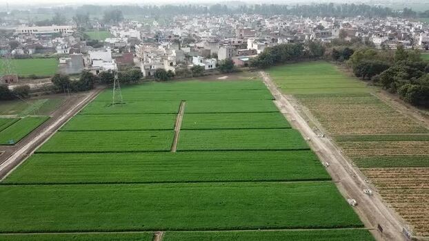 Aerial view of green agricultural fields and urban outskirts India. Aerial view of green agricultural fields and urban outskirts India.