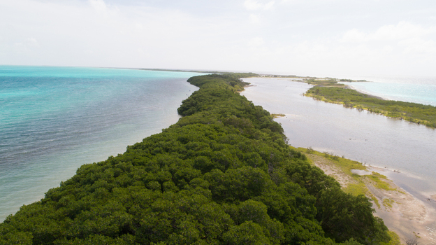 Aerial view of lush mangrove forests and turquoise Caribbean waters of the Los Roques archipelago in Los Roques Dependencias Federales Venezuela. Aerial view of lush mangrove forests and turquoise Caribbean waters of the Los Roques archipelago in Los Roques Dependencias Federales Venezuela.